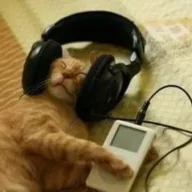 The Listener