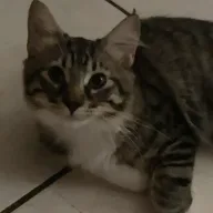 Satan