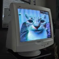 Digital Phillip