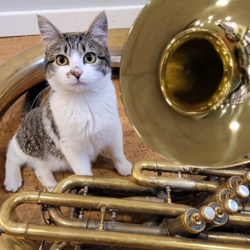 Weird Tuba
