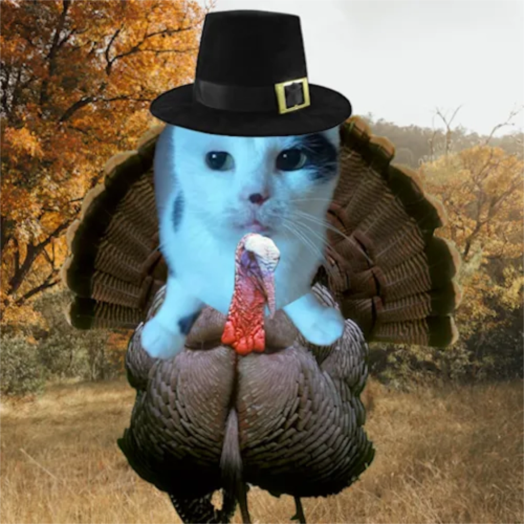 Turkey Nears